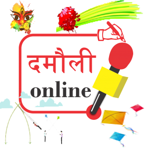 Damauli Online Media